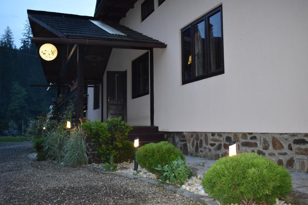 Villa Clematis House Voroneț Exterior foto