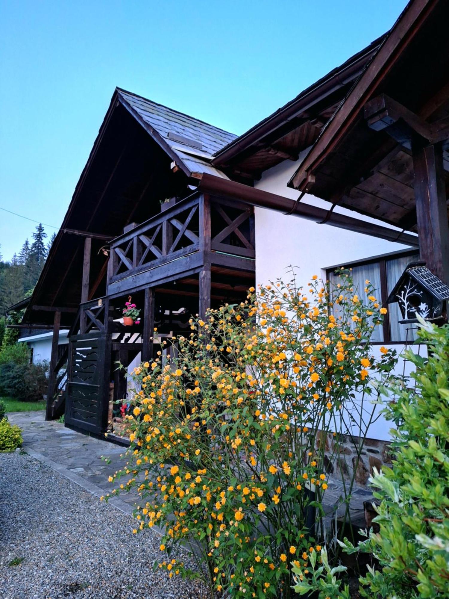Villa Clematis House Voroneț Exterior foto